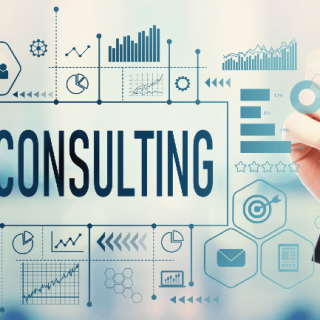 SEO Consulting