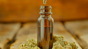 CBD Cream vs. CBD Oil: Which One Is Right for You?