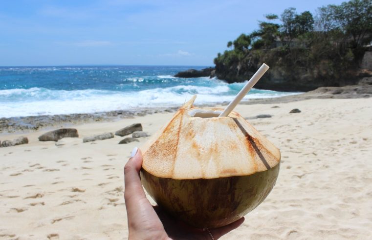 Beste Reisezeit Bali führt beim Reisen; Beste Bratpfannen führen beim Kochen