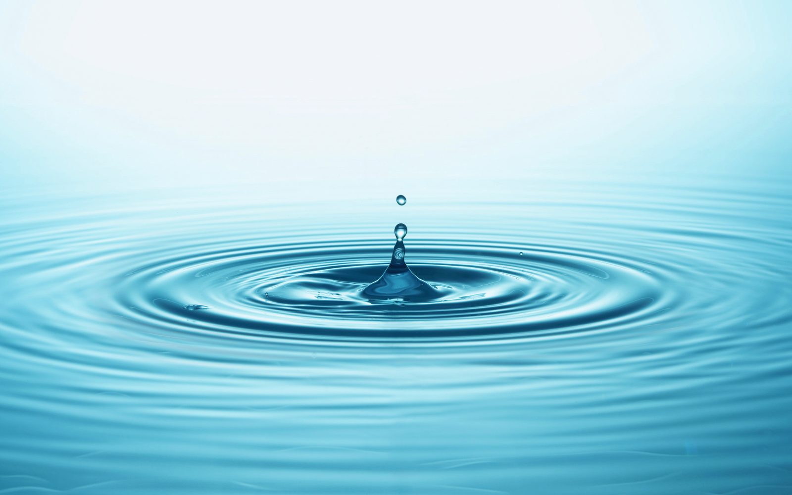 The Ripple Effect of One Opportunity