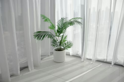 Curtain Cleaning Dubai Tips to Keep Your Curtains Fresh All Year