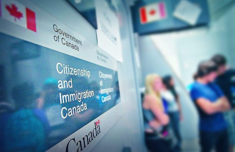 Best Immigration Consultant Brampton for Ontario Immigration Success