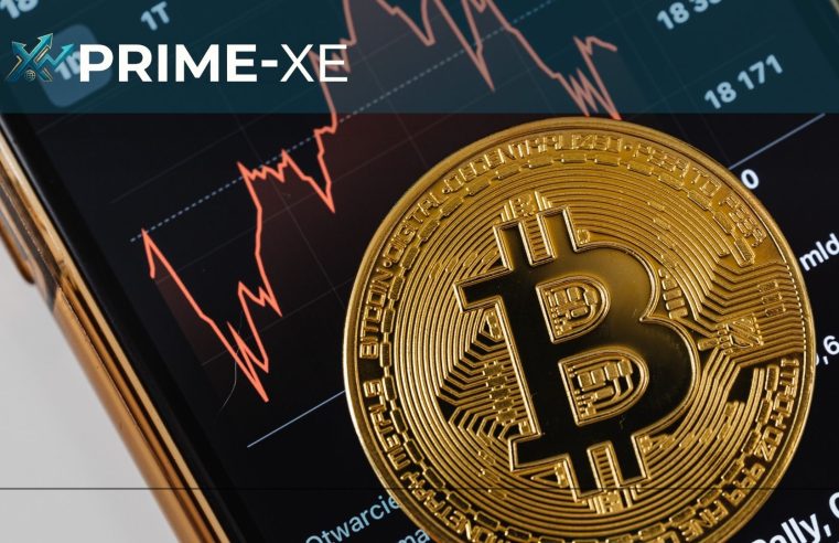 Le guide du trading estival : transformer la croissance des marchés en opportunités avec Prime-xe