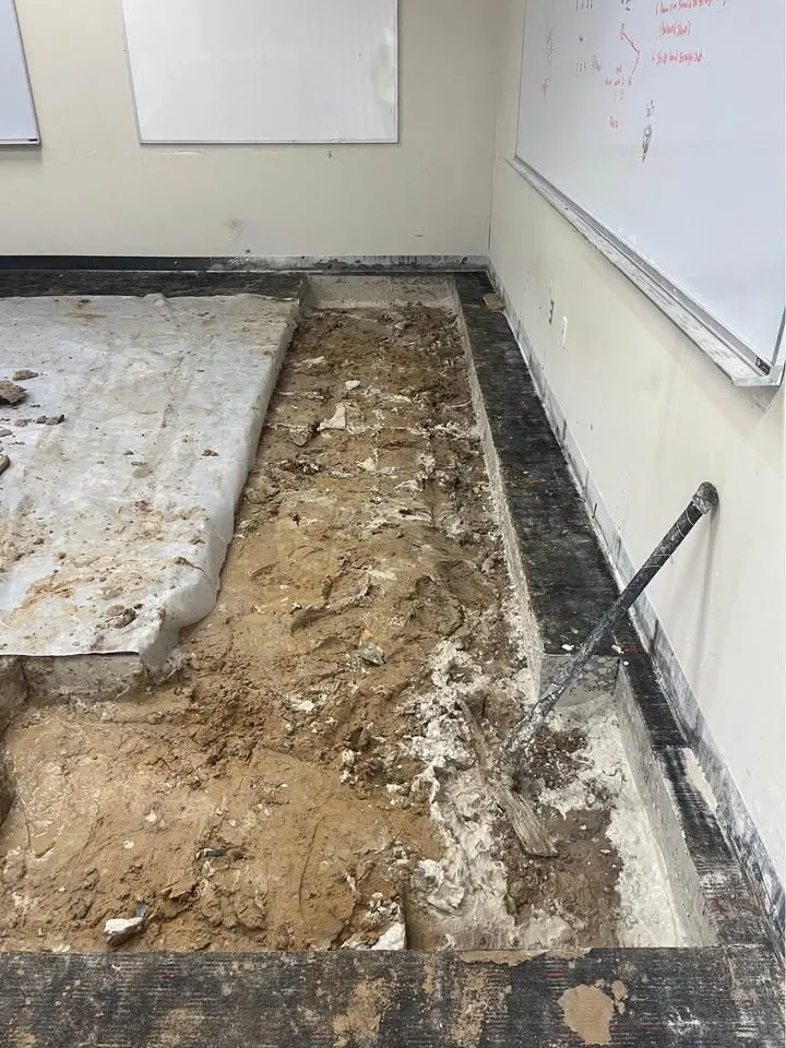 Demolition Processes Explained: 7 Stages From First Walk-Through to Clean Handover